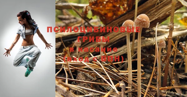мет Абаза