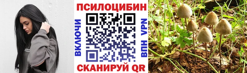 OMG зеркало  Чишмы  Галлюциногенные грибы Psilocybine cubensis 